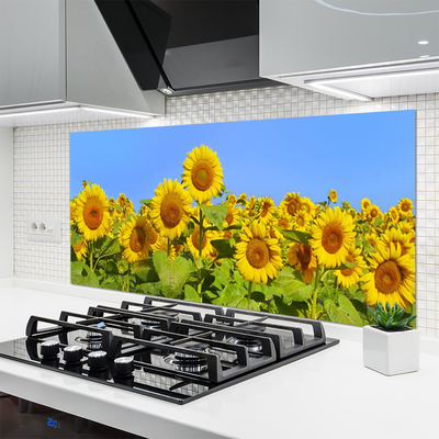 Pannello paraschizzi cucina Pianta di fiori di girasole