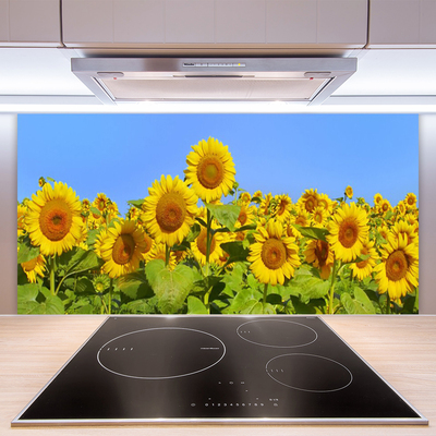 Pannello paraschizzi cucina Pianta di fiori di girasole