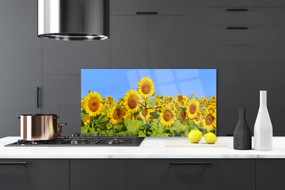 Pannello paraschizzi cucina Pianta di fiori di girasole