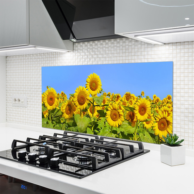 Pannello paraschizzi cucina Pianta di fiori di girasole