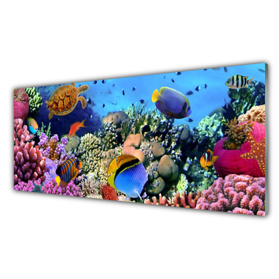 Rivestimento parete cucina Natura della barriera corallina