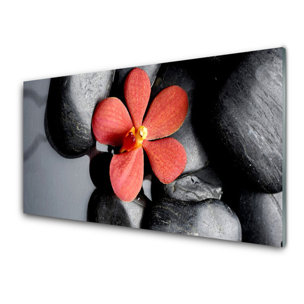 Pannello paraschizzi cucina Pietre di fiori Art