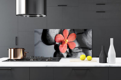 Pannello paraschizzi cucina Pietre di fiori Art