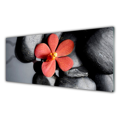 Pannello paraschizzi cucina Pietre di fiori Art