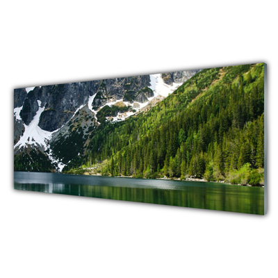 Rivestimento parete cucina Paesaggio di montagna del lago forestale