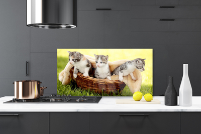 Pannello paraschizzi cucina Gatti Animali domestici