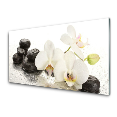 Rivestimento parete cucina Pianta di pietre di fiori
