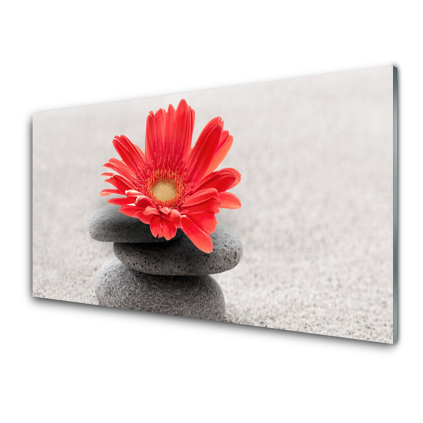 Pannello paraschizzi cucina Fiore di gerbera