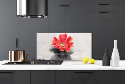 Pannello paraschizzi cucina Fiore di gerbera