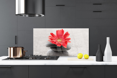 Pannello paraschizzi cucina Fiore di gerbera
