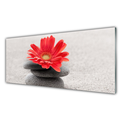 Pannello paraschizzi cucina Fiore di gerbera