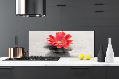 Pannello paraschizzi cucina Fiore di gerbera
