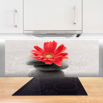 Pannello paraschizzi cucina Fiore di gerbera