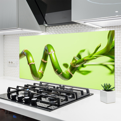 Pannello paraschizzi cucina Bambù Pianta Natura