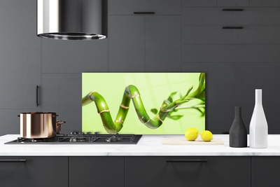 Pannello paraschizzi cucina Bambù Pianta Natura