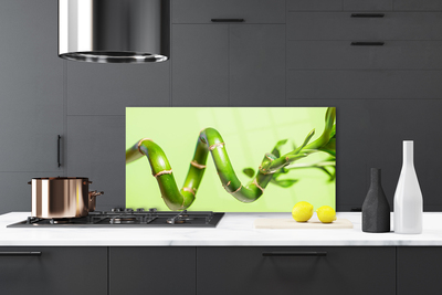 Pannello paraschizzi cucina Bambù Pianta Natura