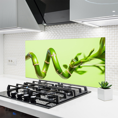 Pannello paraschizzi cucina Bambù Pianta Natura