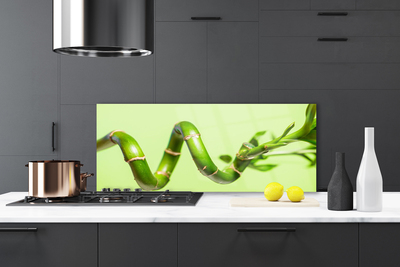 Pannello paraschizzi cucina Bambù Pianta Natura