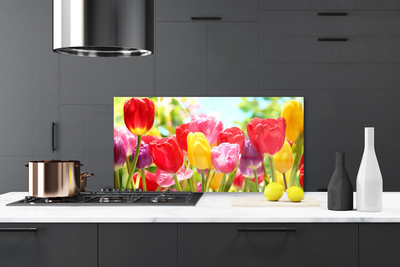 Pannello cucina paraschizzi Tulipani, fiori, piante