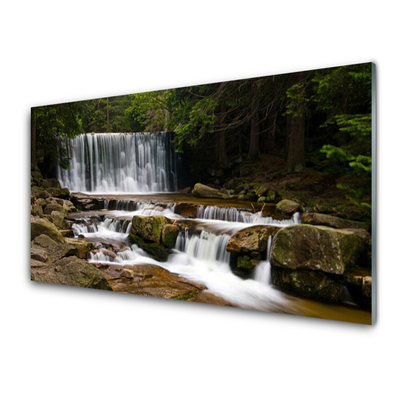 Rivestimento parete cucina Cascata della natura della foresta