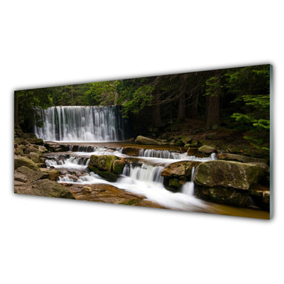 Rivestimento parete cucina Cascata della natura della foresta