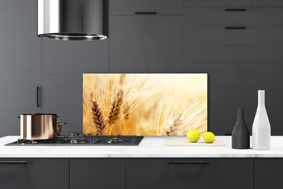 Schienali cucina Grano vegetale naturale