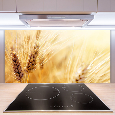 Schienali cucina Grano vegetale naturale
