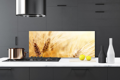 Schienali cucina Grano vegetale naturale