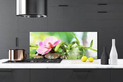 Pannello paraschizzi cucina Bambù Stelo Pianta Natura