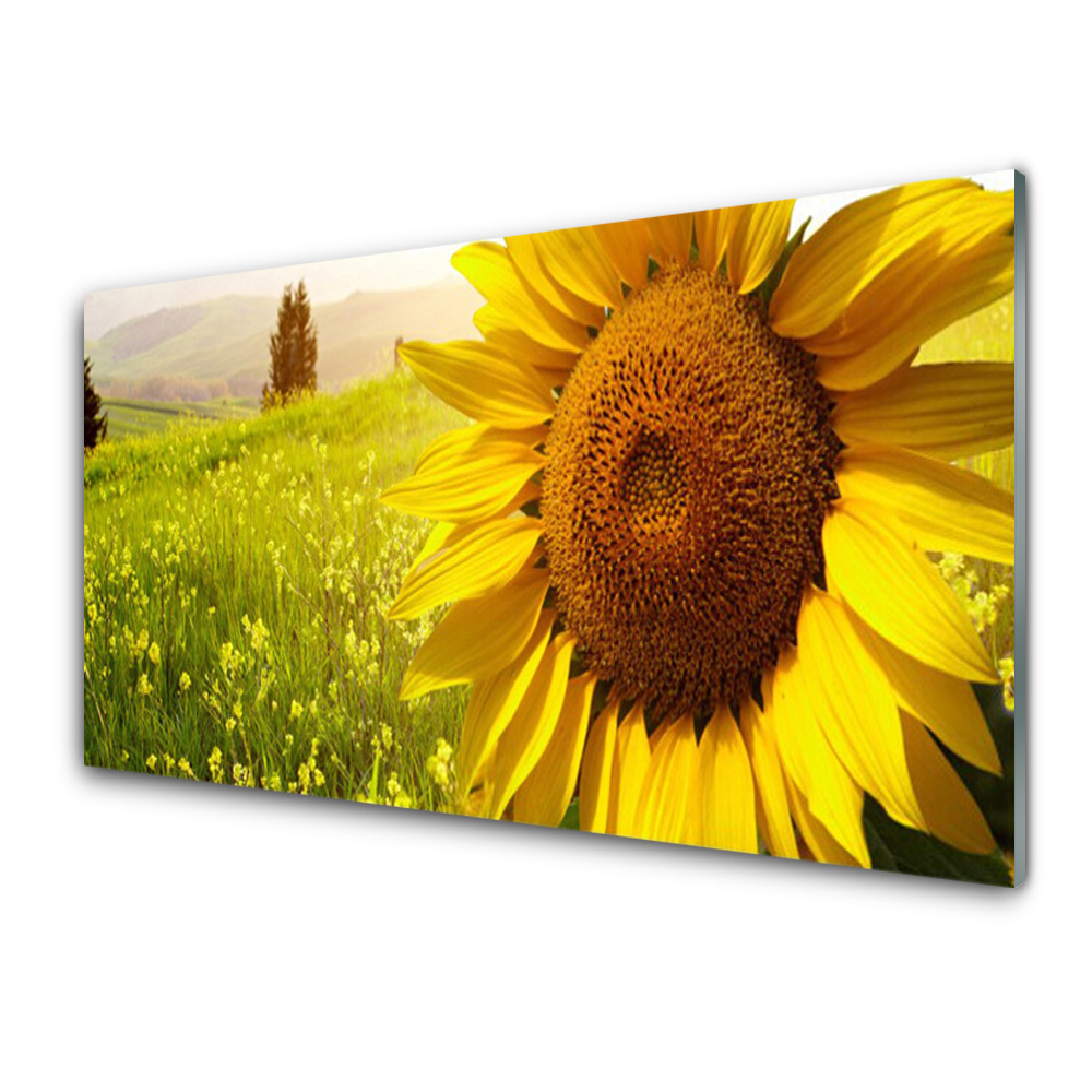 Myphotostatio - Decorazione da parete in vetro temperato con fiori colorati, 101 x 101 cm, decorazione astratta da parete moderna con stampa su vetro, grande arte da parete per soggiorno in vetro
