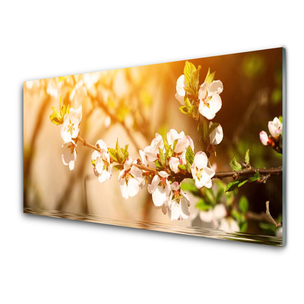 Pannello rivestimento parete cucina Fiori, piante, natura