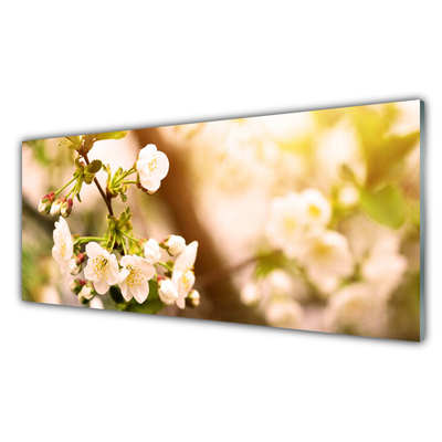 Pannello cucina paraschizzi Fiori, piante, natura