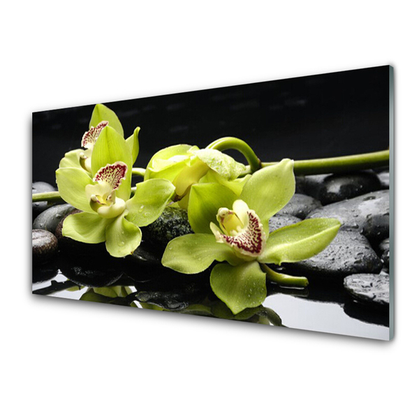 Rivestimento parete cucina Pianta dell'orchidea del fiore