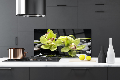 Rivestimento parete cucina Pianta dell'orchidea del fiore