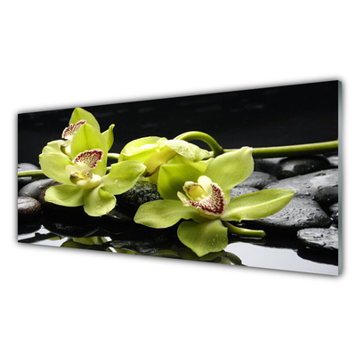 Rivestimento parete cucina Pianta dell'orchidea del fiore