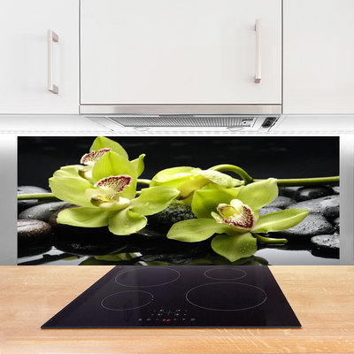 Rivestimento parete cucina Pianta dell'orchidea del fiore