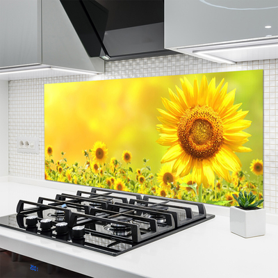 Pannello paraschizzi cucina Pianta di fiori di girasole