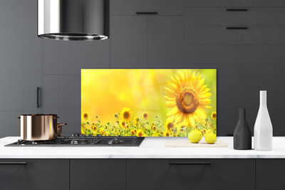 Pannello paraschizzi cucina Pianta di fiori di girasole