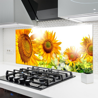 Pannello cucina paraschizzi Pianta di fiori di girasole