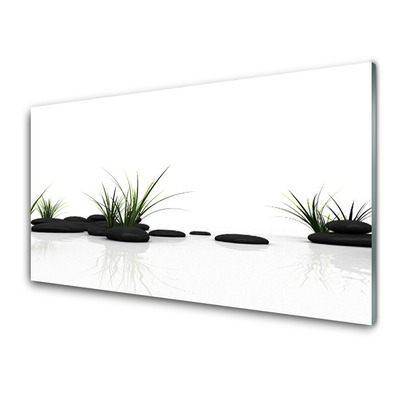 Rivestimento parete cucina Specchio d'acqua d'erba