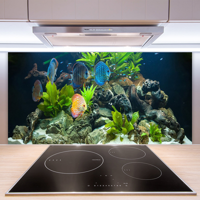 Pannello cucina paraschizzi Pesce d'acquario naturale