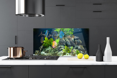 Pannello cucina paraschizzi Pesce d'acquario naturale