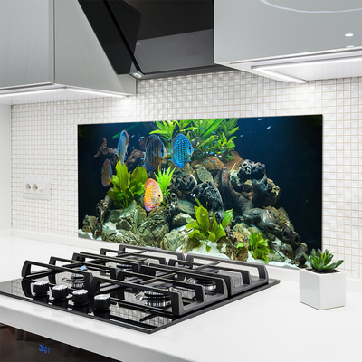 Pannello cucina paraschizzi Pesce d'acquario naturale