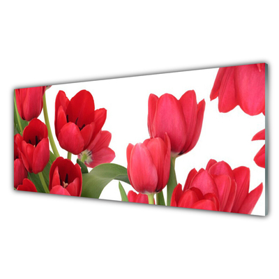 Pannello retrocucina Tulipani, fiori, piante