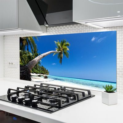 Schienali cucina Paesaggio del mare di Palm Beach