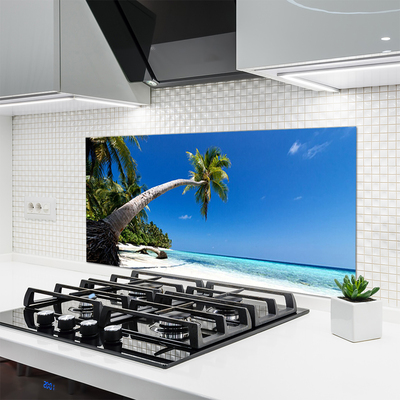 Schienali cucina Paesaggio del mare di Palm Beach