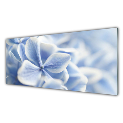 Rivestimento parete cucina Fiori, petali, natura