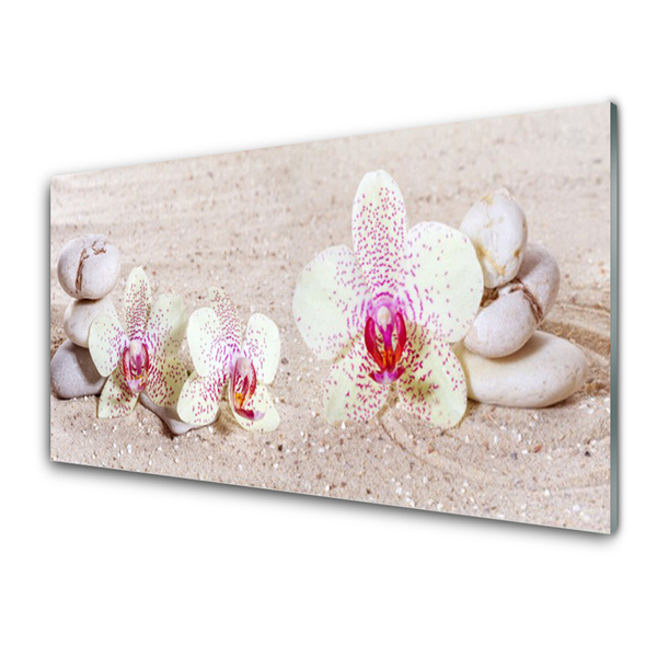 Pannello cucina paraschizzi Orchidea Orchidea Sabbia