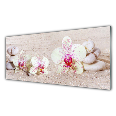Pannello cucina paraschizzi Orchidea Orchidea Sabbia