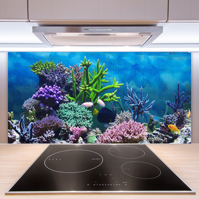 Pannello paraschizzi cucina Pesce sott'acqua acquario